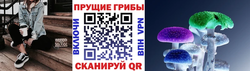 Галлюциногенные грибы Cubensis  купить   MEGA вход  Жуков 
